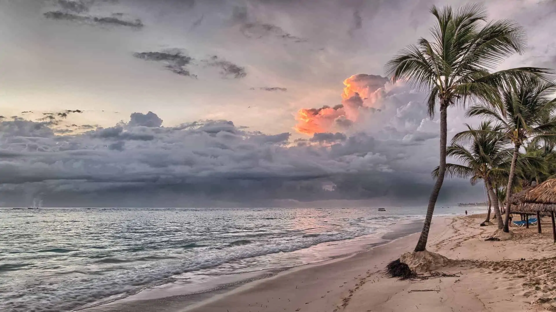 liburan pantai, musim panas