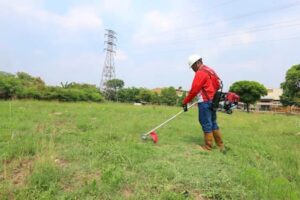 Tips Merawat Mesin Potong Rumput Agar Tahan Lama